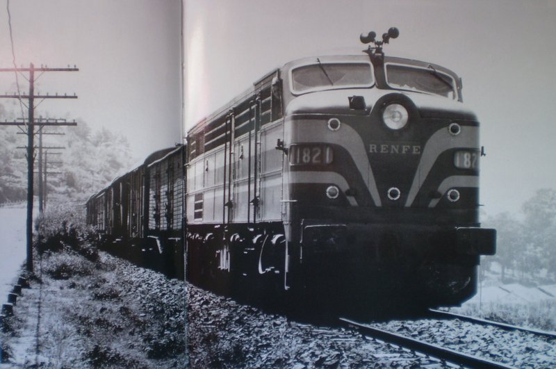 P1190001.JPG