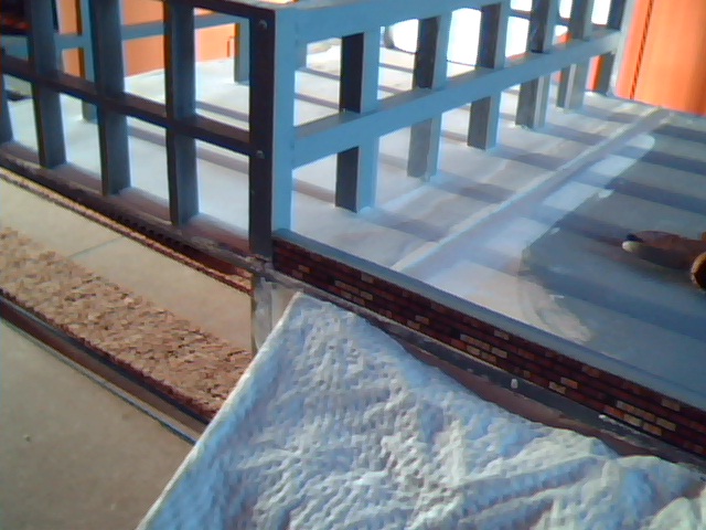 Picture 46.jpg