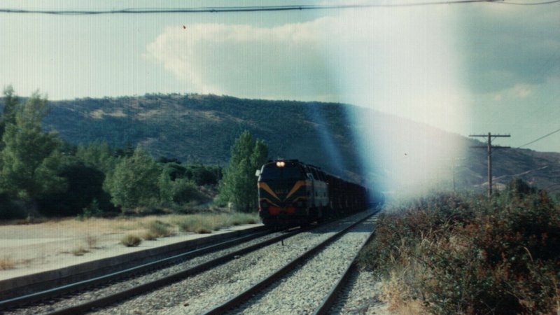 PTDC2.JPG