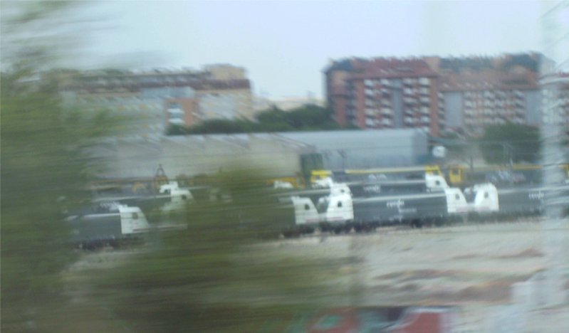 27-06-2011 ensalada de 319 y 253.JPG