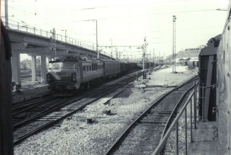 251.JPG