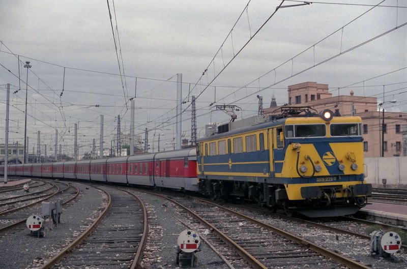 9515.jpg
