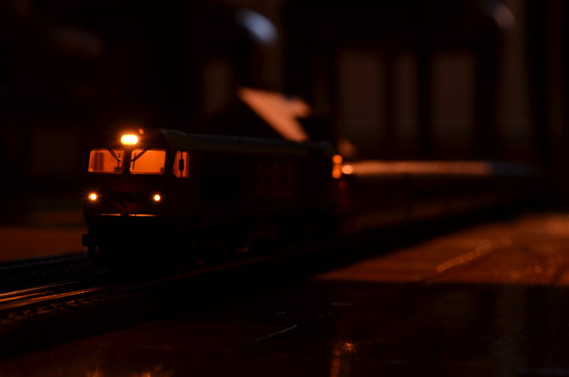 DSC_0225.JPG