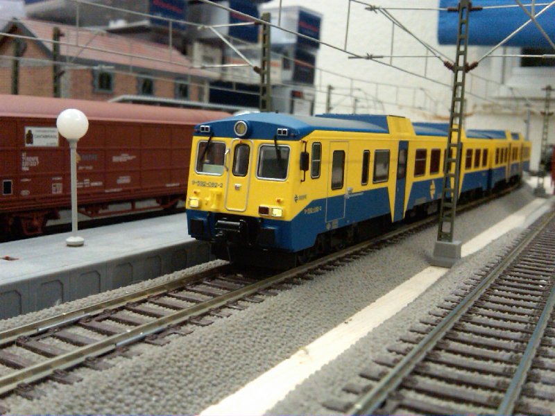 IMG00155-20090518-0034.jpg