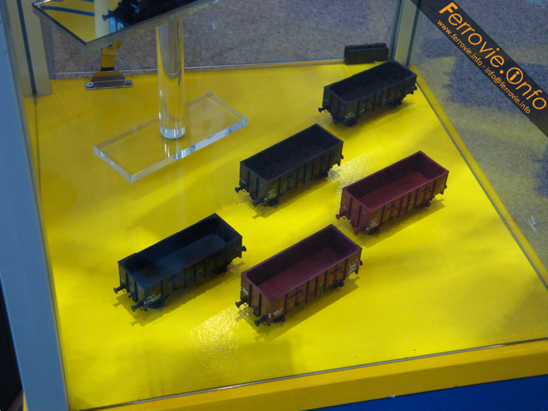 DSC04529.jpg