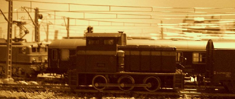 CIMG5172.JPG