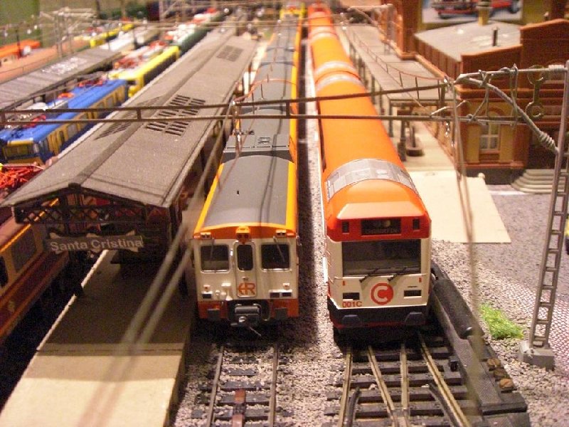 CIMG5290.JPG