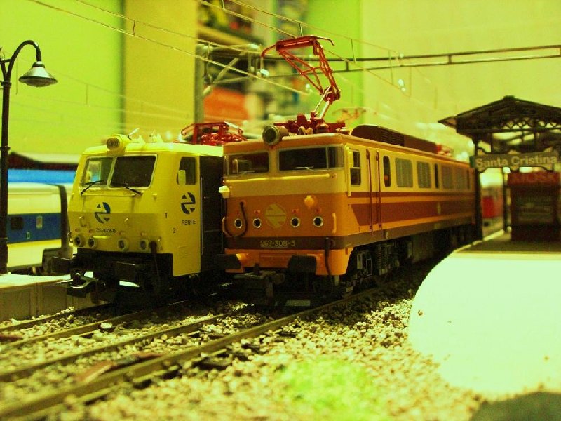 CIMG5287.JPG