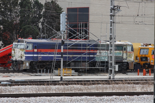 _MG_3156.JPG