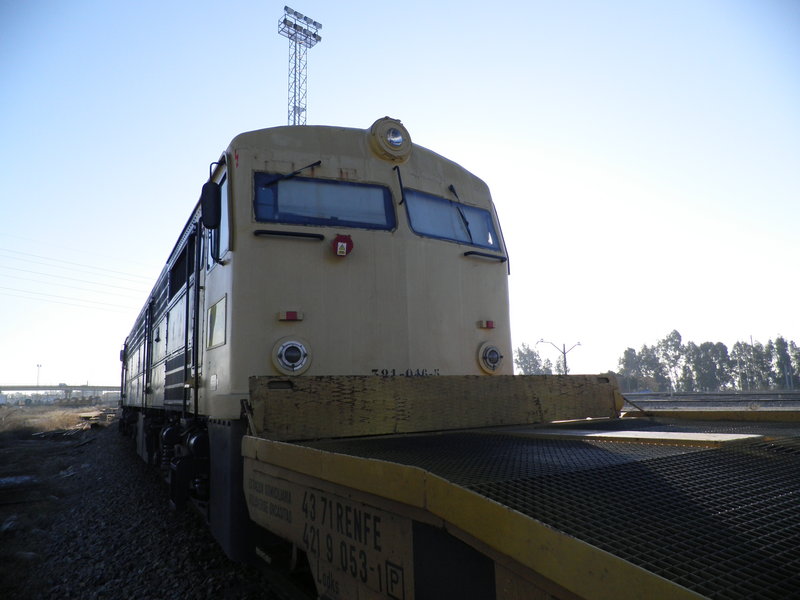 P2062300.JPG
