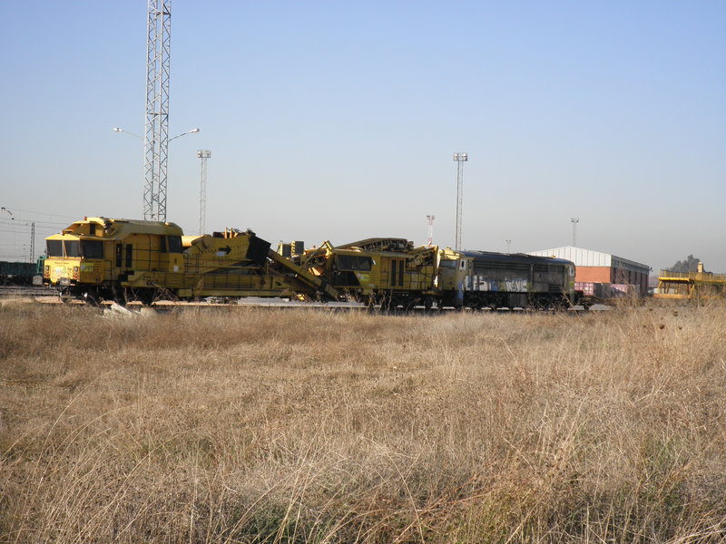 P2062316.JPG