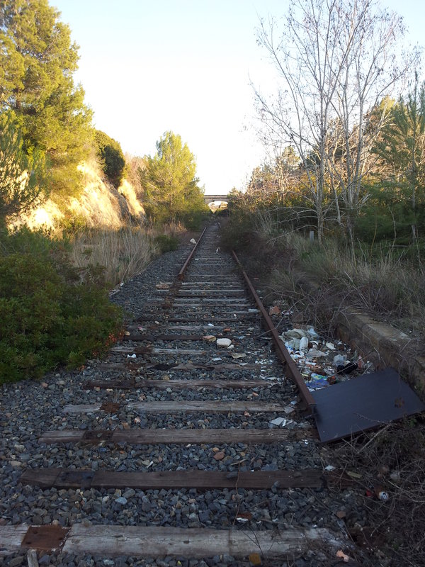 2012-02-04 17.20.15.jpg
