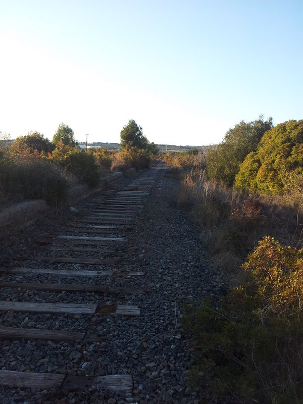 2012-02-04 17.20.30.jpg