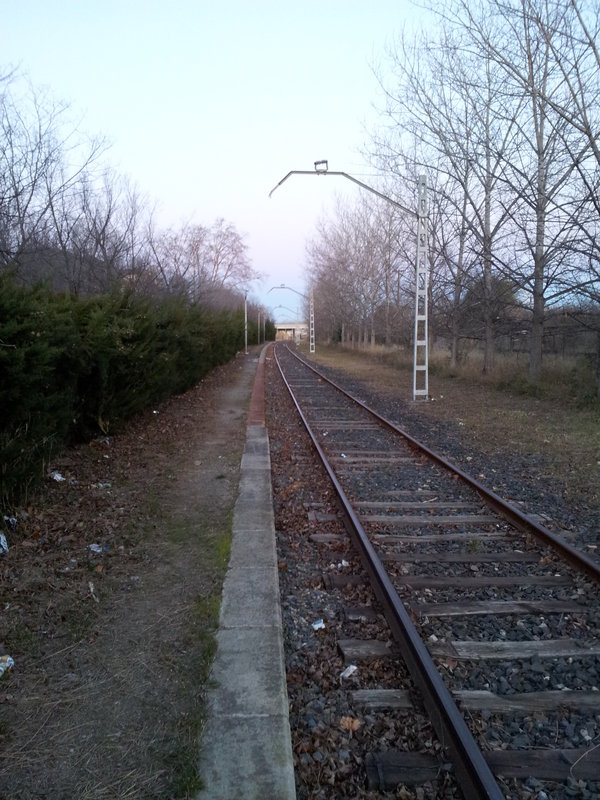 2012-02-04 18.21.23.jpg