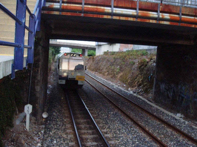 21 mayo 2009 018.jpg