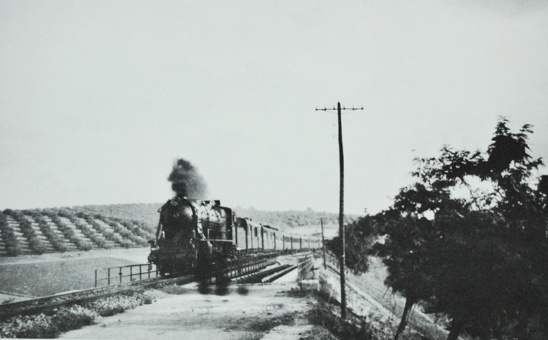 9616.jpg