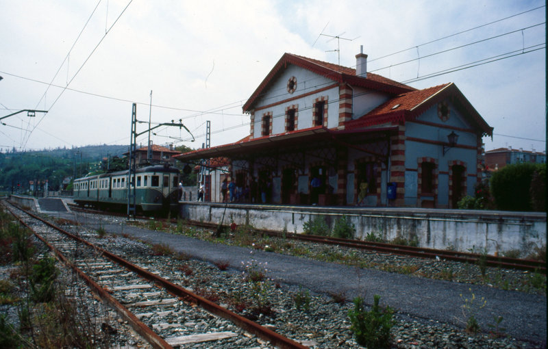 491.jpg