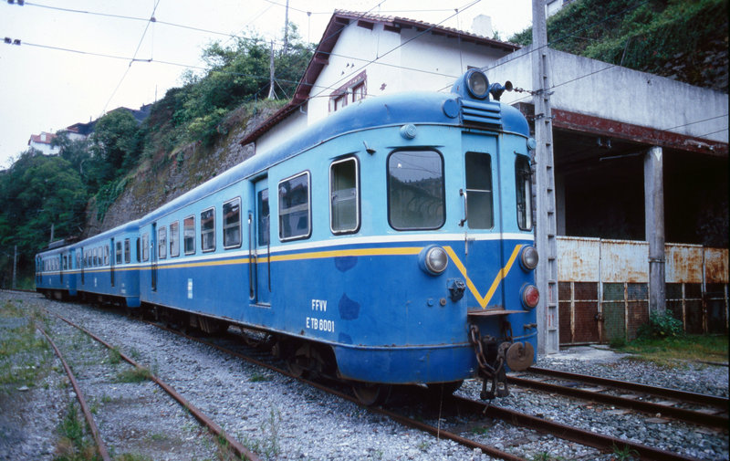 497.jpg