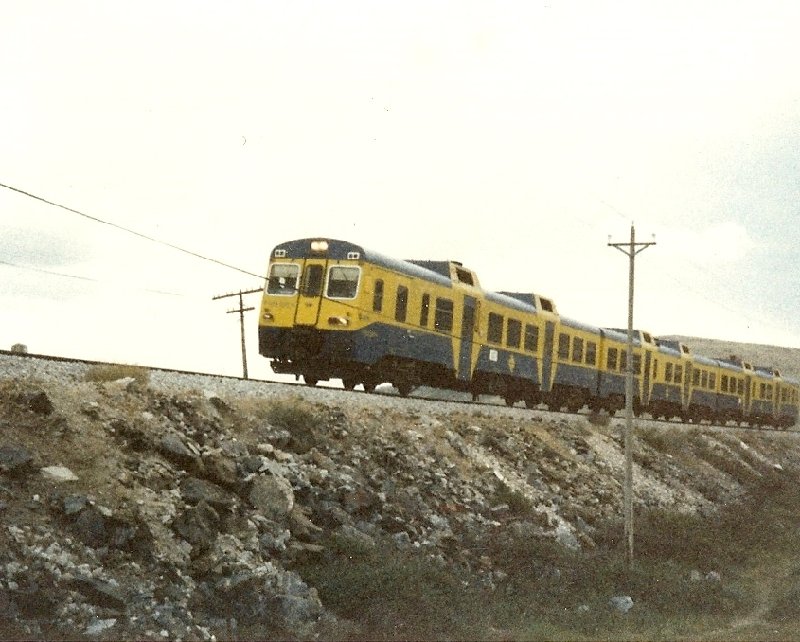 CAMELLO 1987.jpg