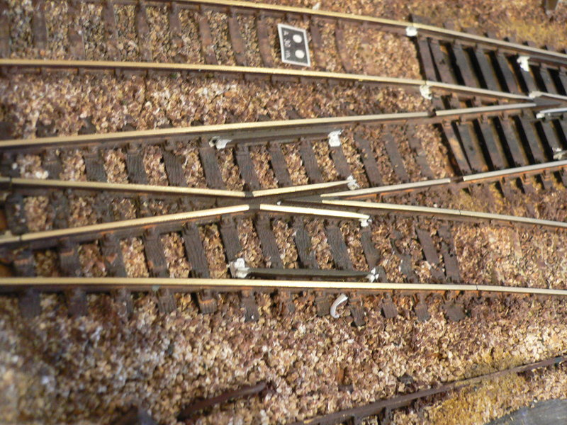 P1070833.JPG