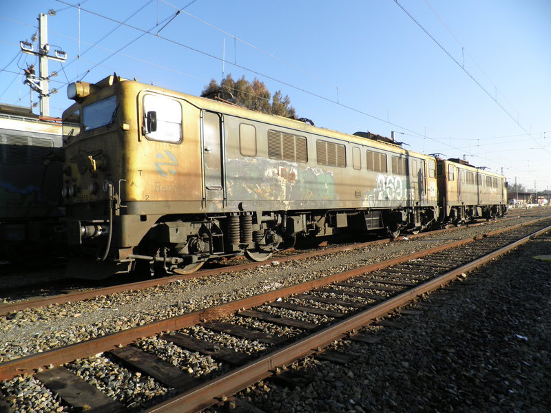 P2072331.JPG