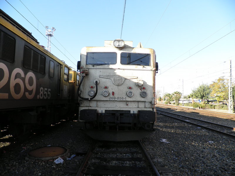 P2072333.JPG