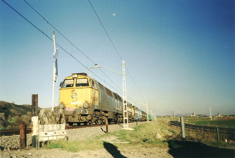 7793.jpg