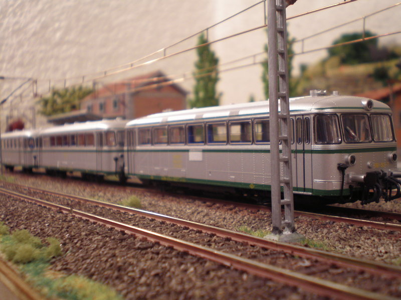 P9250001.JPG