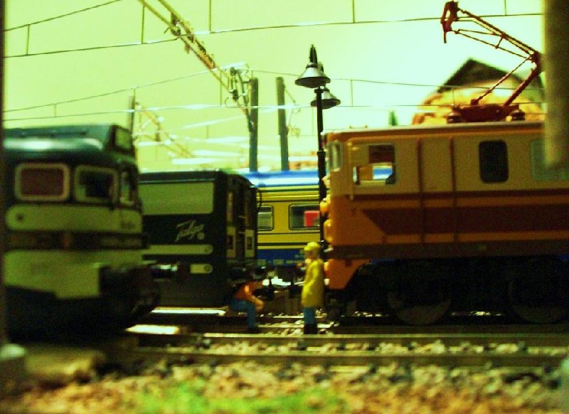 CIMG5704.JPG
