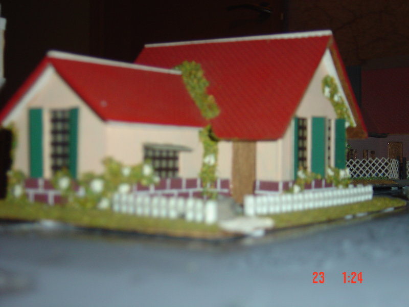 FOTOS MAQUETA NUEVA Y LUCA II 011.JPG
