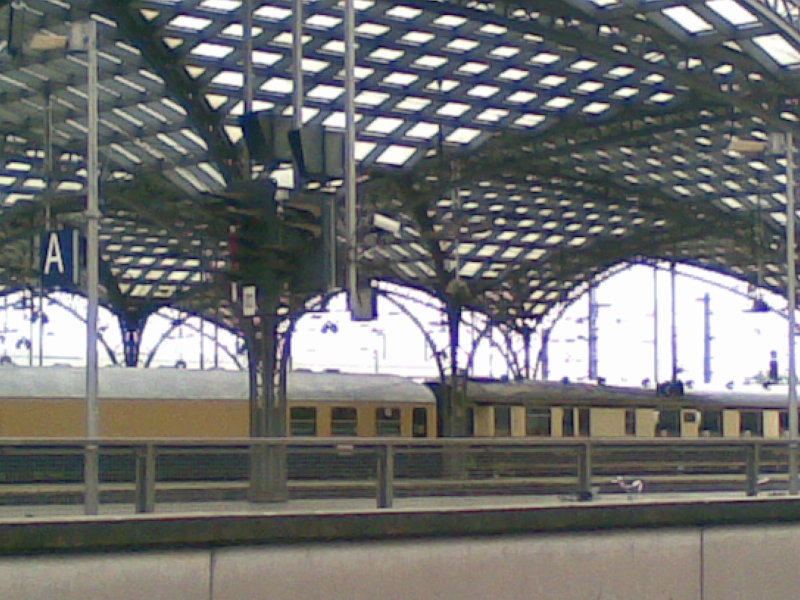 Colonia 17-05-09(2).jpg