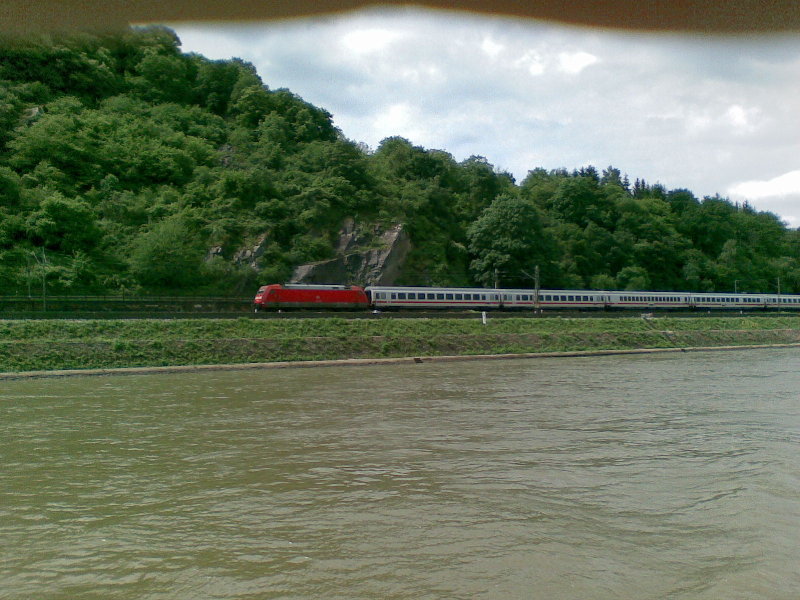 Rhin 2.jpg