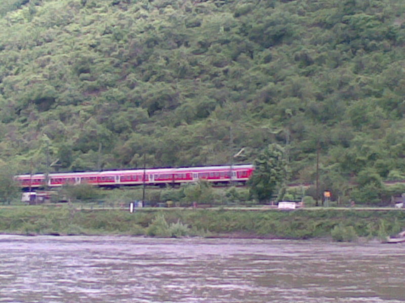 Rhin 3.jpg