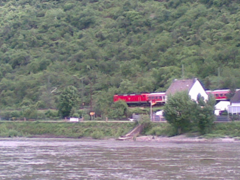 Rhin 4.jpg