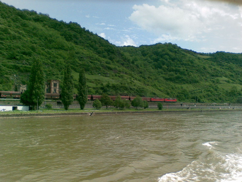 Rhin 5.jpg