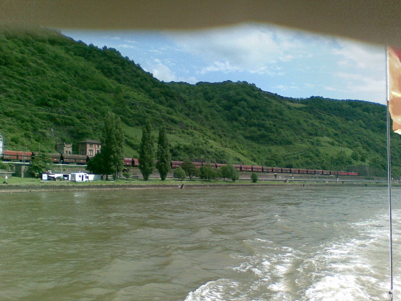 Rhin 6.jpg
