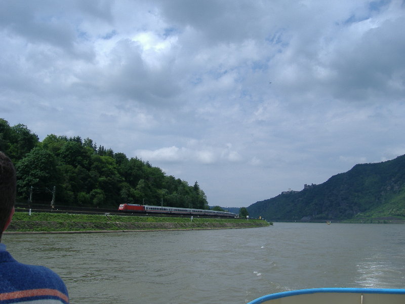 Rhin 7.jpg