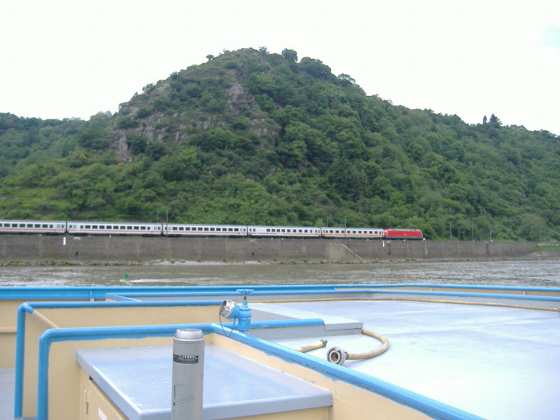 Rhin 8.jpg