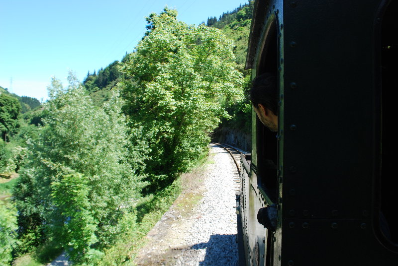 DSC_0459.JPG