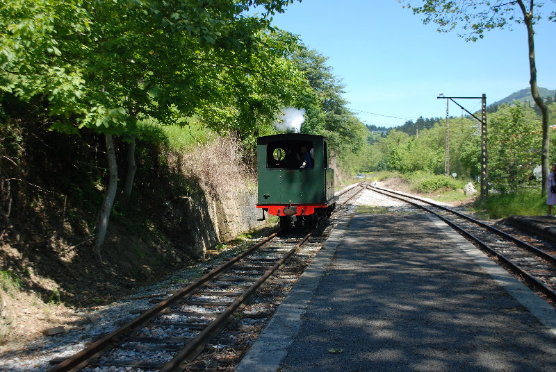 DSC_0469.JPG