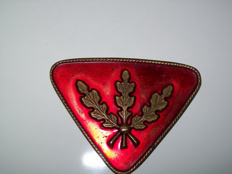 100_41862.jpg