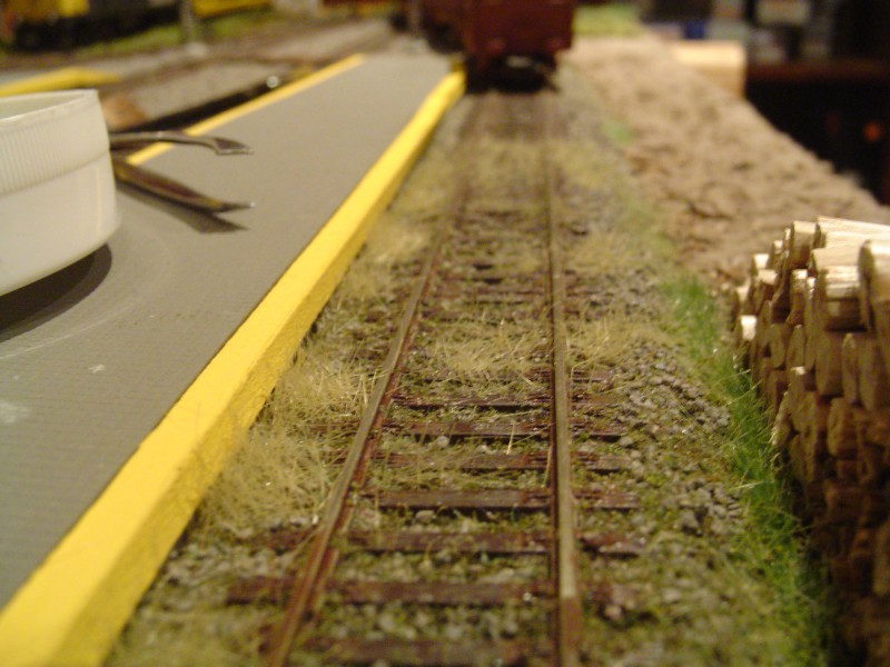 DSC01585.JPG