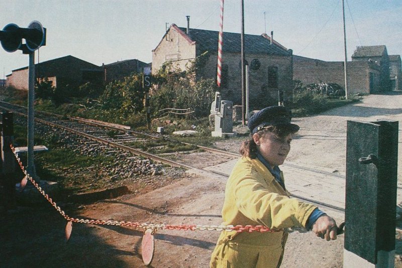 9812.jpg