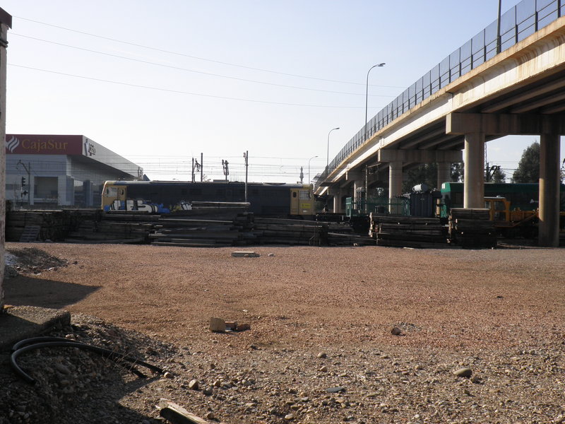 P3052401.JPG