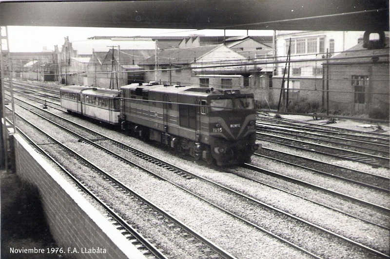 9817.jpg