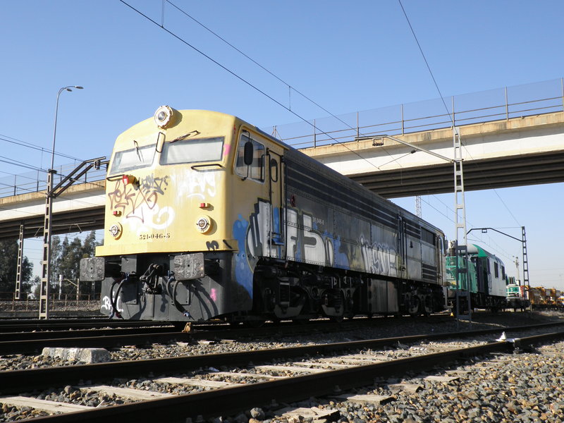 P3132443.JPG