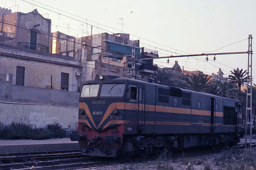 5037.JPG