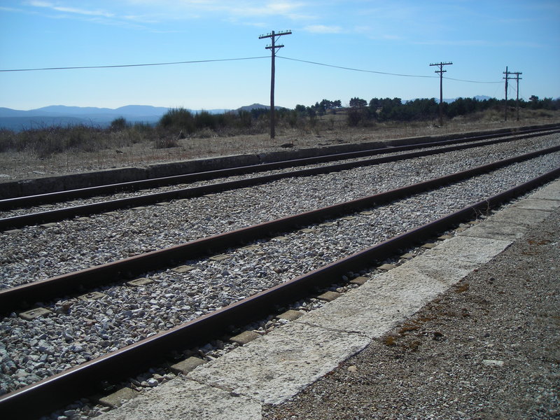 DSCN0585.JPG