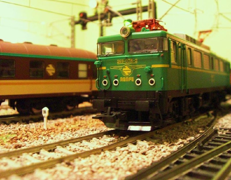 2690783.JPG