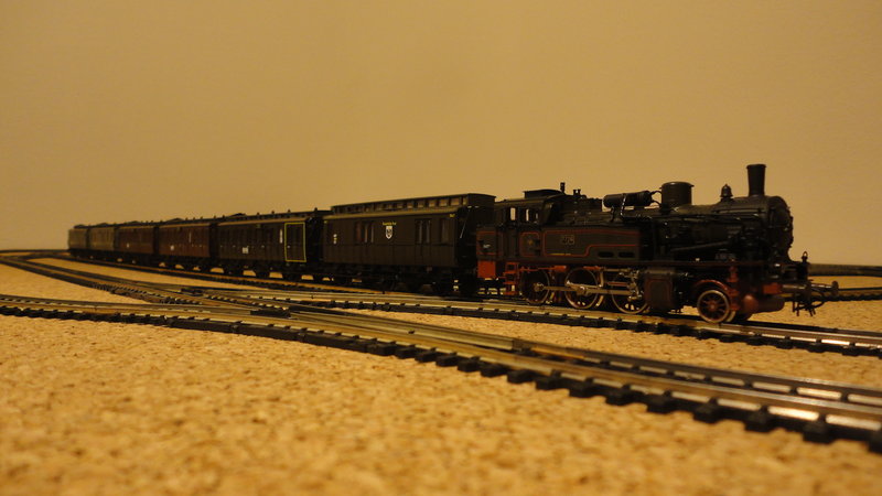 DSC08309.JPG